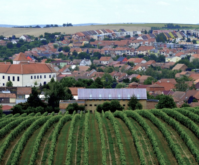 Pohled přes vinice na jihomoravsk&eacute; Čejkovice
